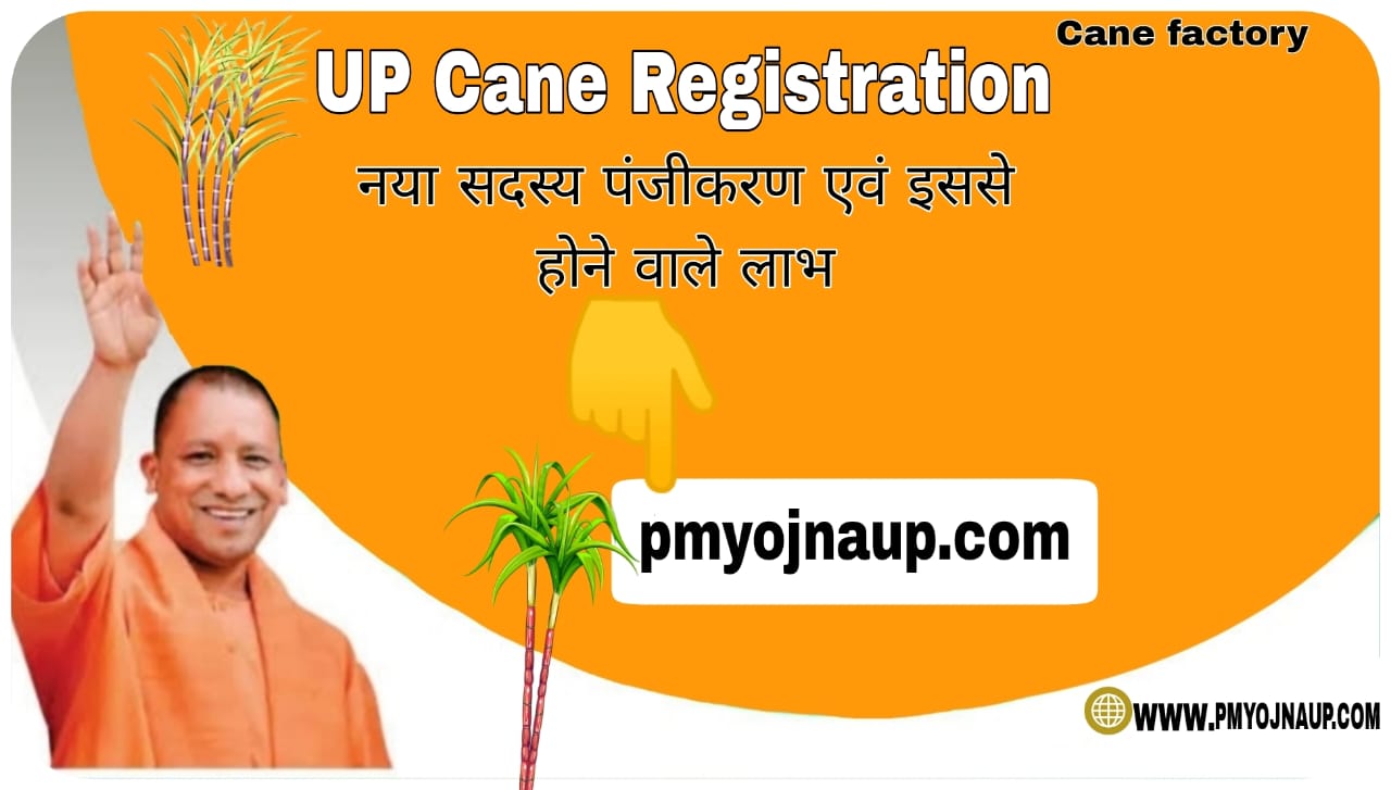 up cane registration