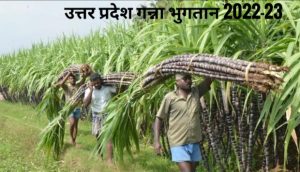 Uttar Pradesh ganna payment2022-23uttar pradesh ganna parchi 