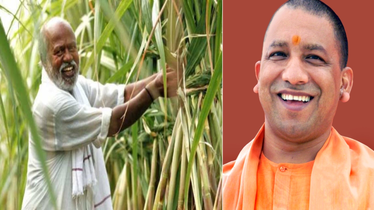sugarcane-kisan-update-2023-big-news-for-sugarcane-farmers-now-they-will-be-able-to-check-sugarcane-payment-sitting-at-home-see-full-update